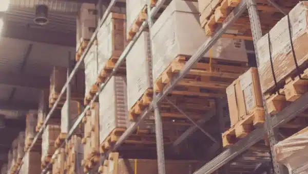 Amazon Lager