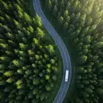 LKW fährt durch den Wald auf ieiner geschlängelten Straße