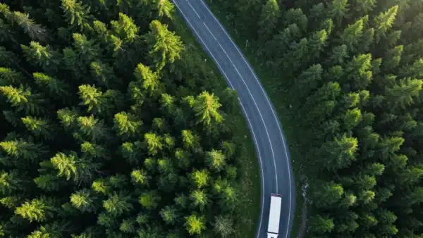 LKW fährt durch den Wald auf ieiner geschlängelten Straße